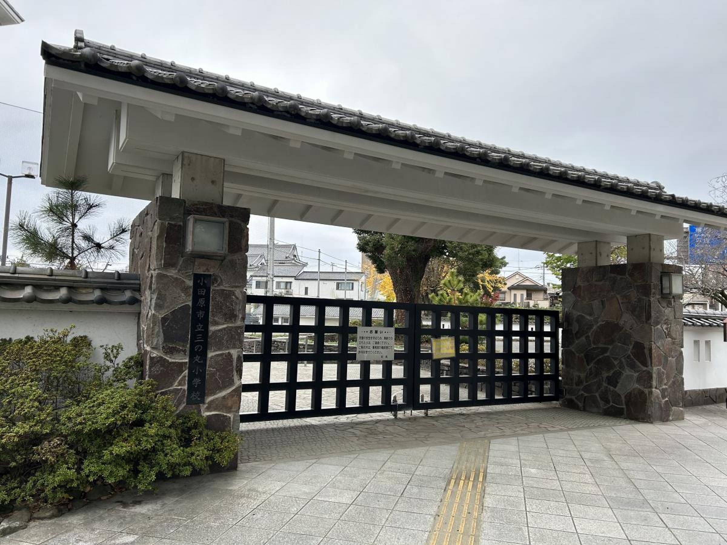 公の場での発言・インタビュー報道記録