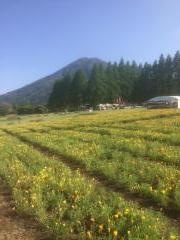 矢岳高原県立自然公園