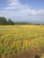 矢岳高原県立自然公園