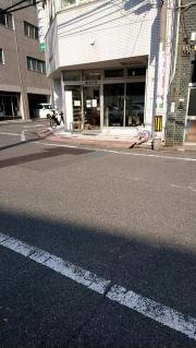 新井内科