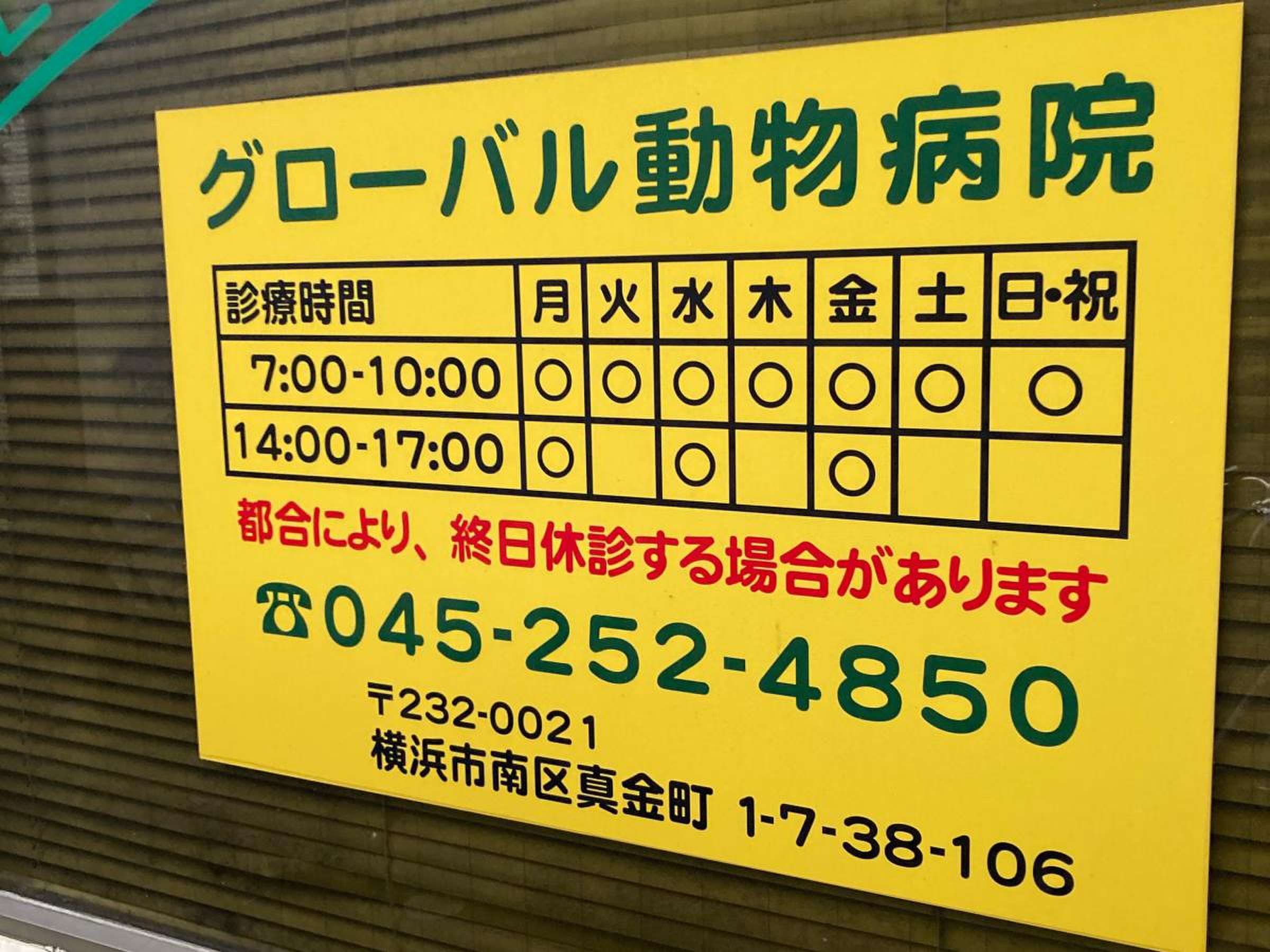グローバル 動物 病院
