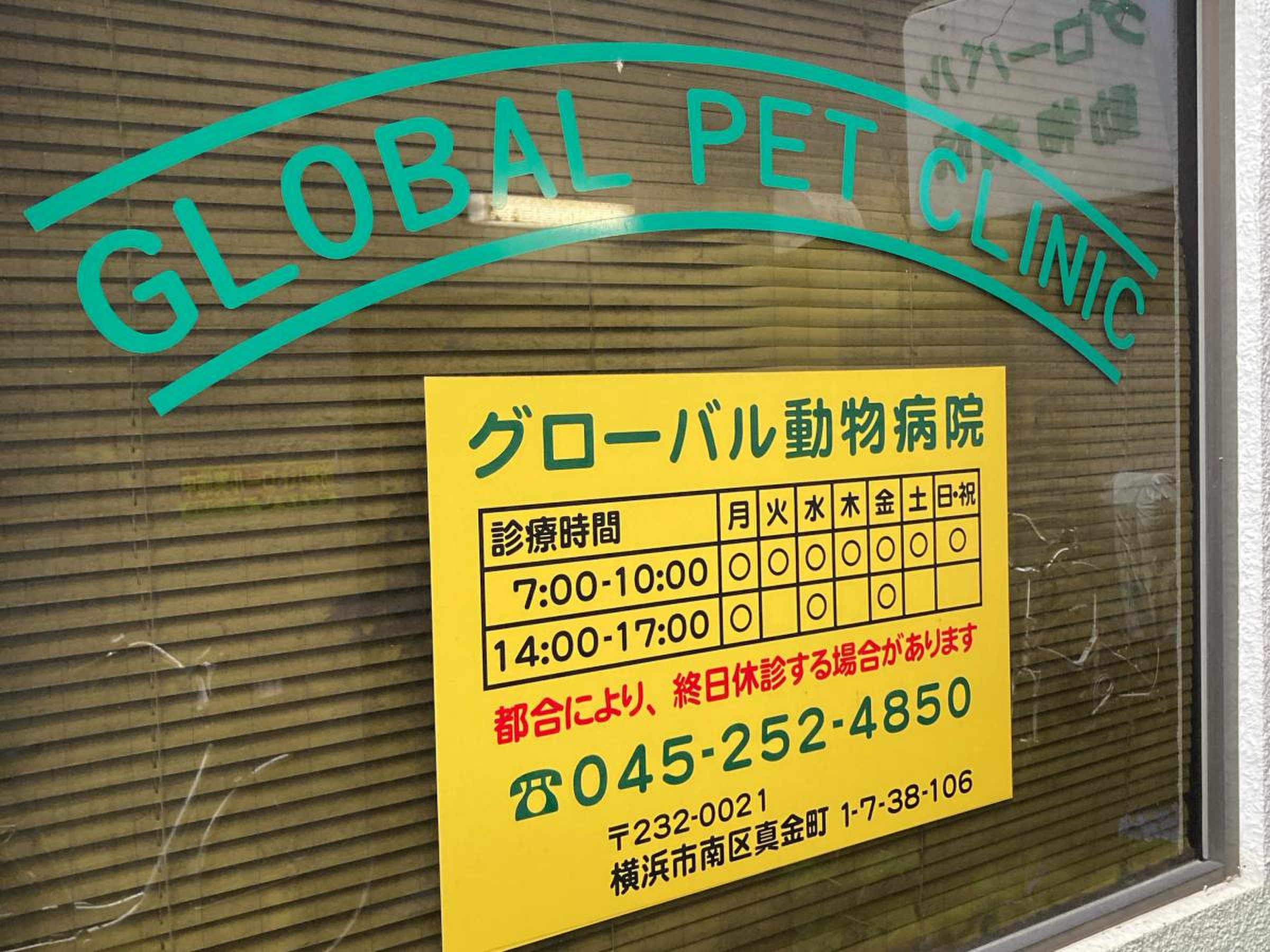 グローバル 動物 病院