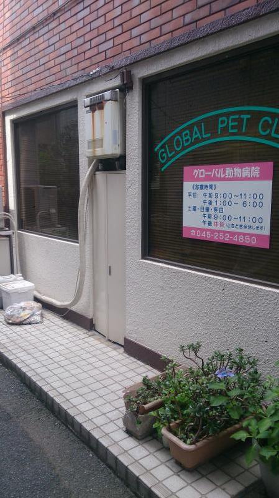 グローバル 動物 病院