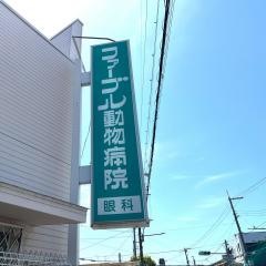 ファーブル動物病院