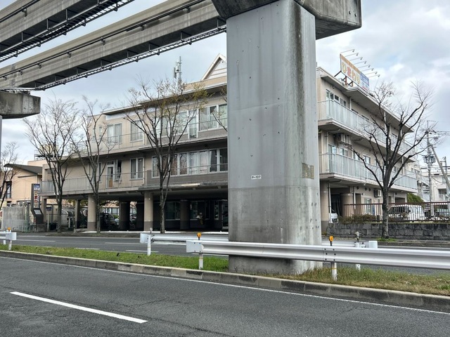 ひまわり