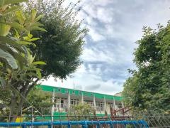 冨士見幼稚園