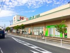 ハローズ手城店