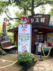 金華山リス村