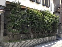 東洋軒　本店