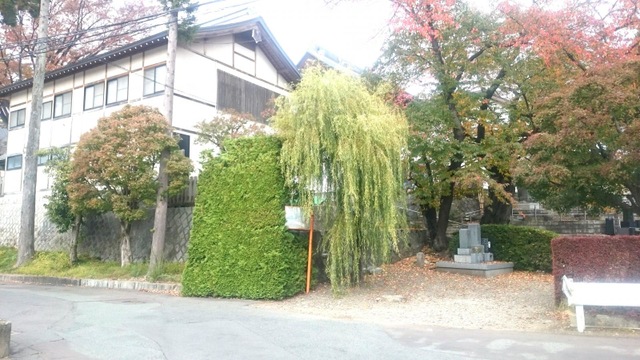 投稿写真5
