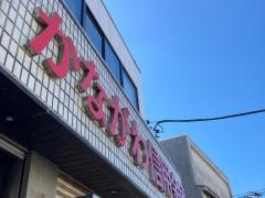 かながわ信用金庫三崎支店