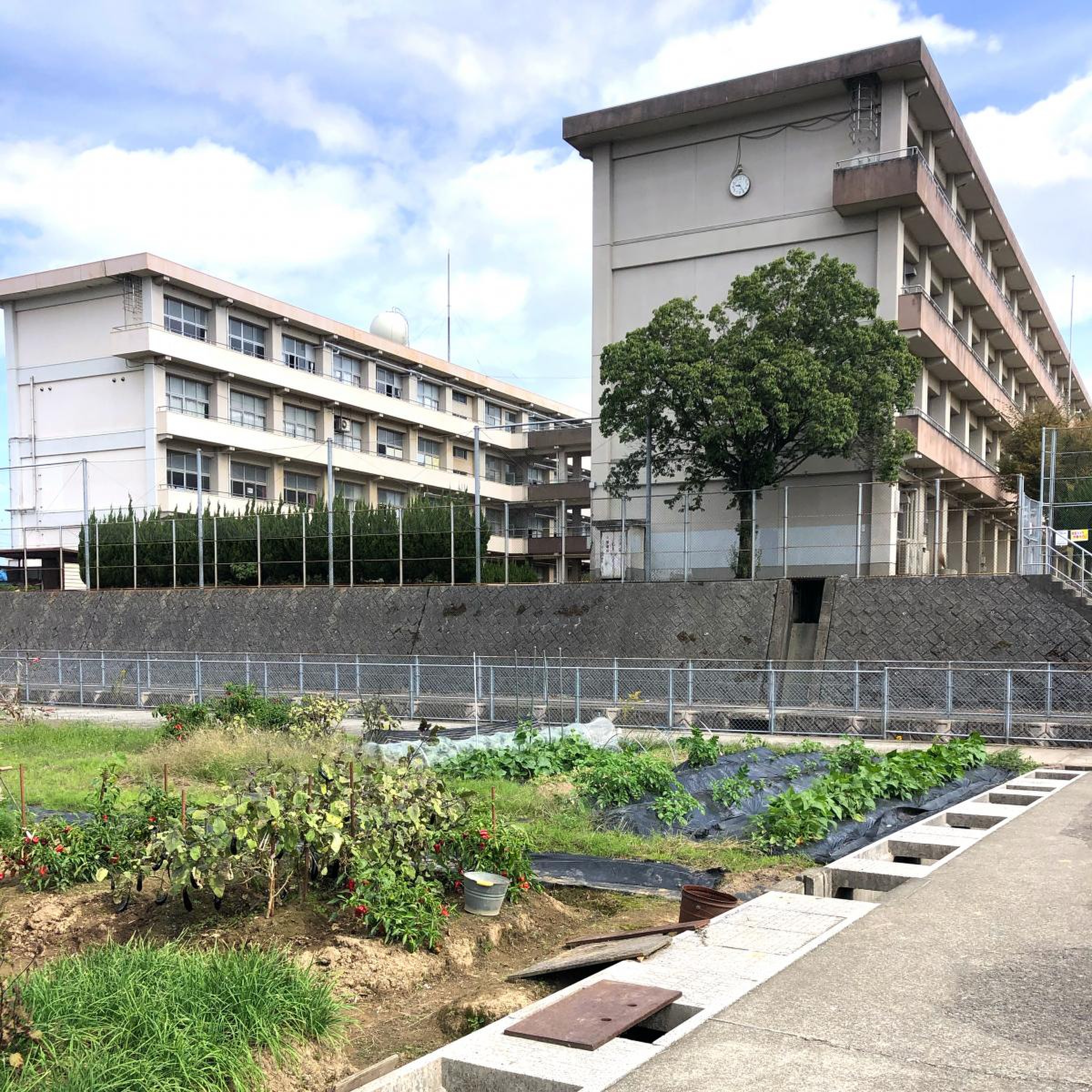 公の場での発言・インタビュー報道記録