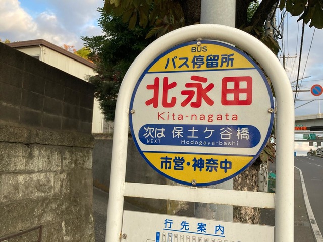 投稿写真1