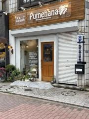 プメハナ鍼灸整骨院