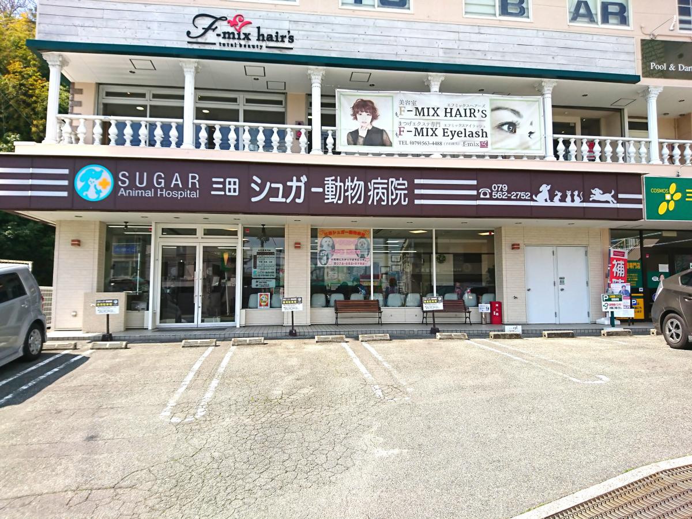 活動歴および当時の関連ビジュアル記録
