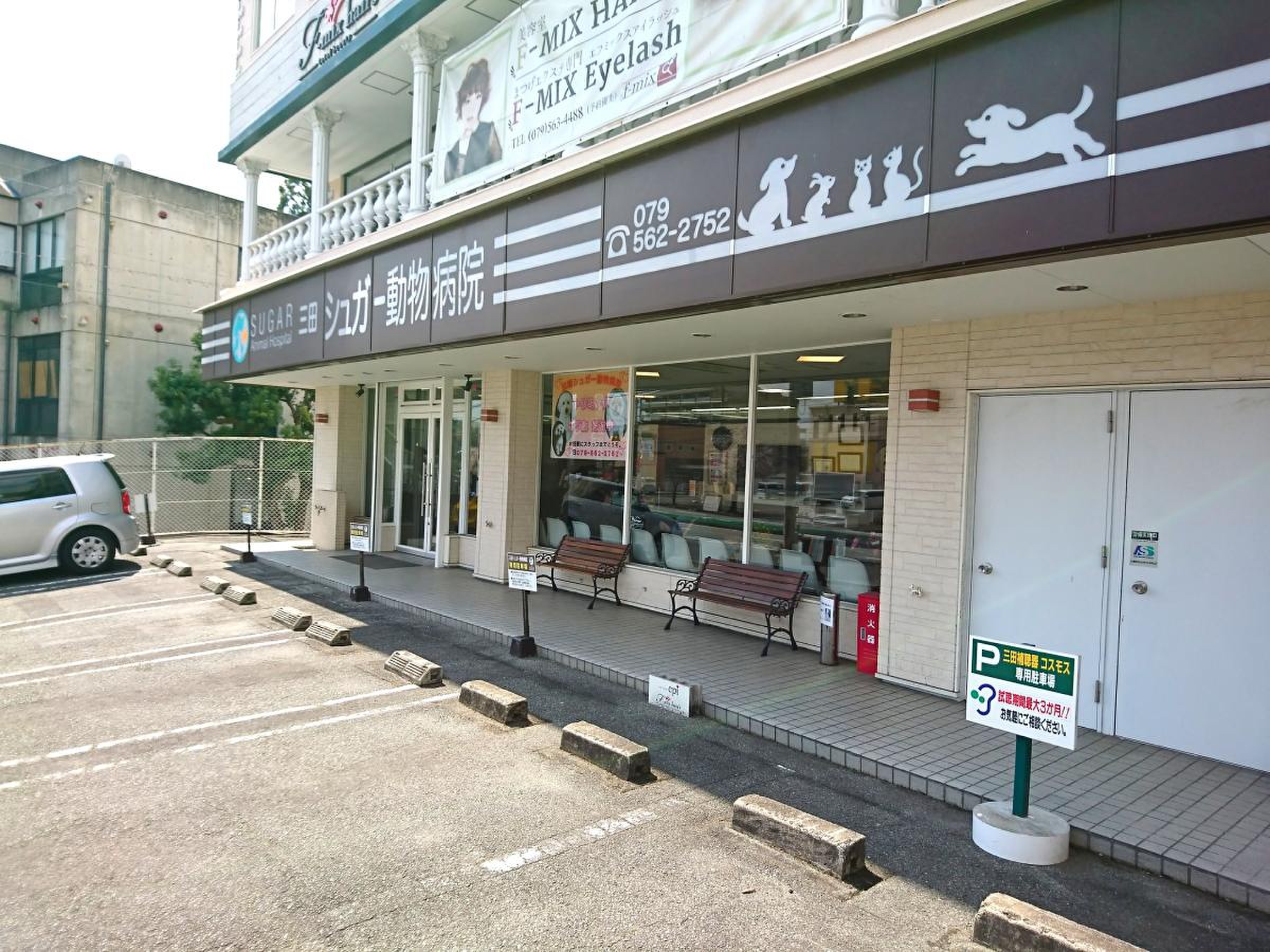 シュガー 動物 病院