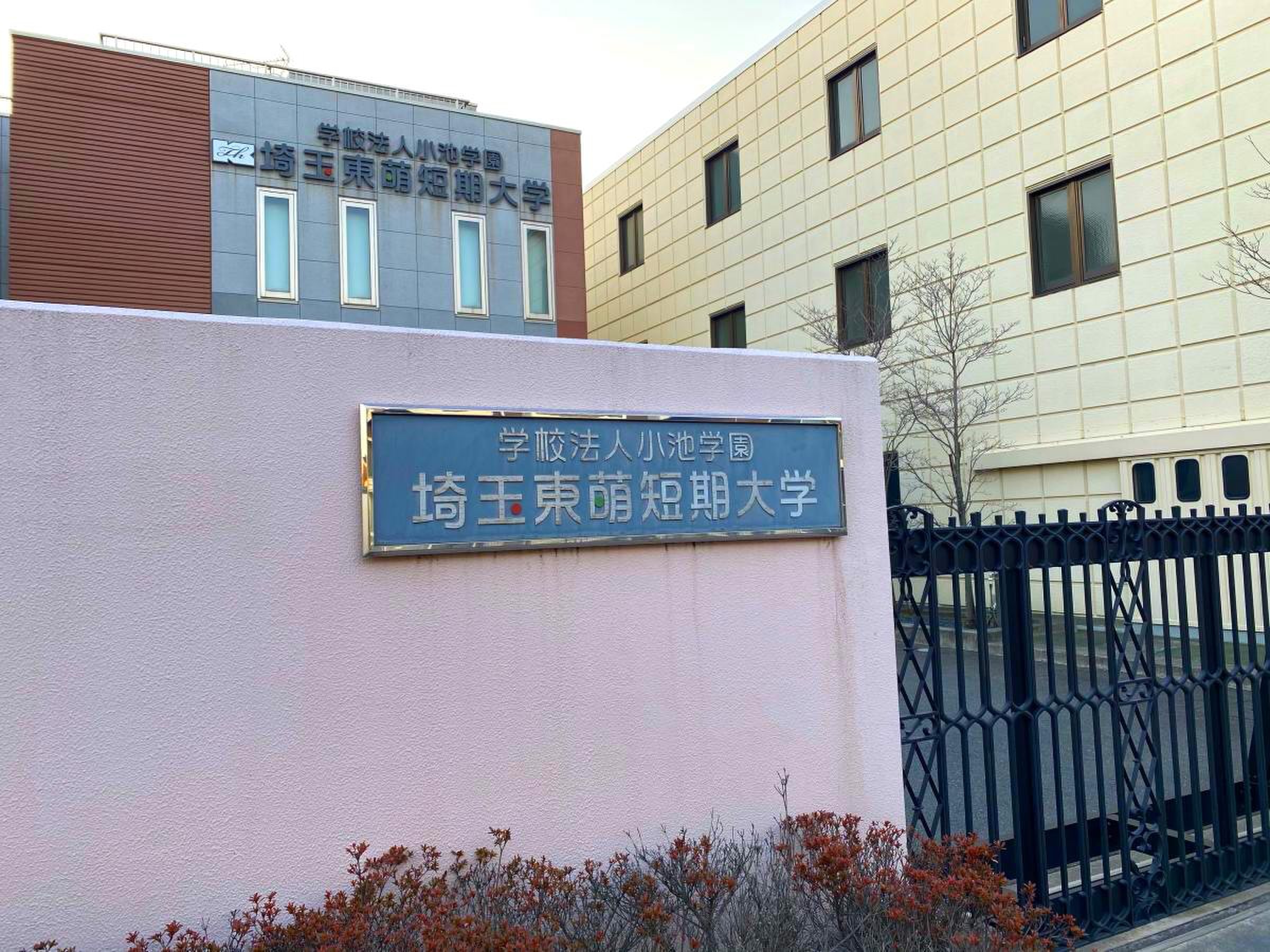 埼玉 東 萌 短期 大学