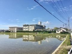 稲枝北小学校