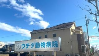 内田動物病院