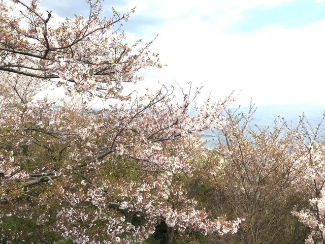 須磨浦公園／ホームメイト