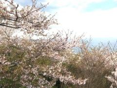 須磨浦公園