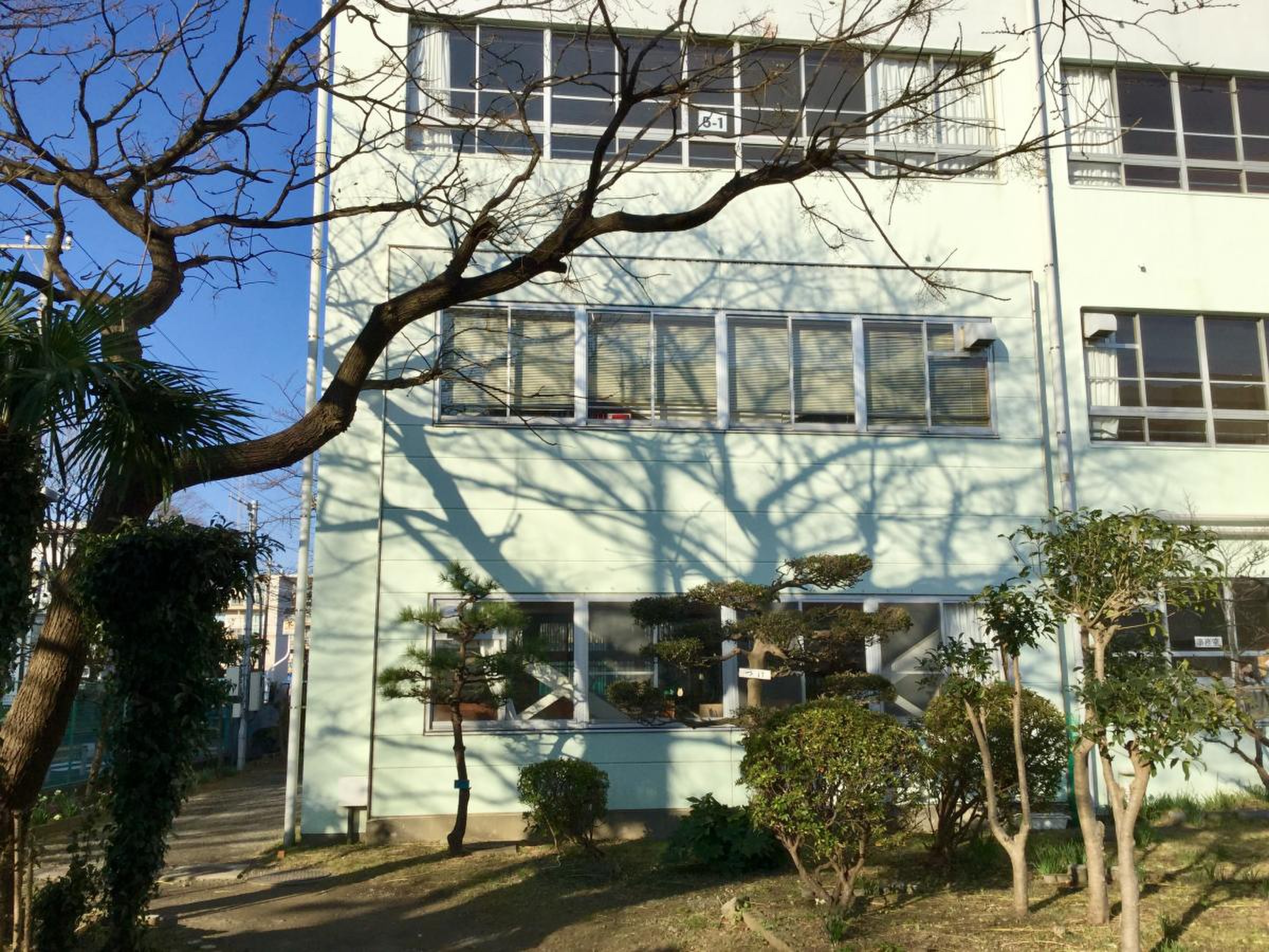 当時のメディア報道・掲載写真