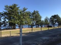白ひげ浜水泳キャンプ場