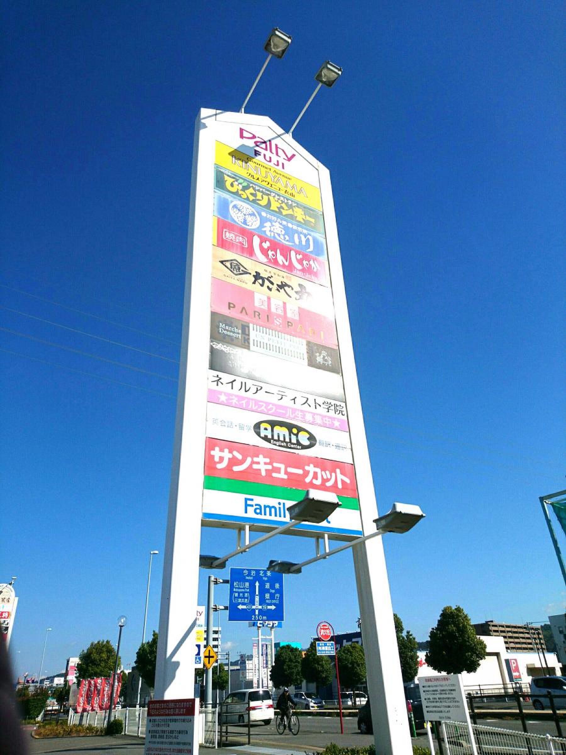 活動歴および当時の関連ビジュアル記録