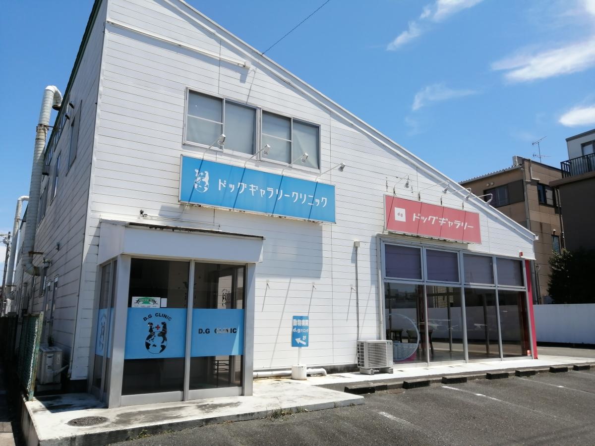 有限会社ドッグギャラリー　クリニック