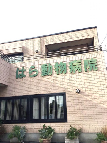 投稿写真3
