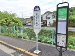 「ＪＡ小曽木支店」バス停留所