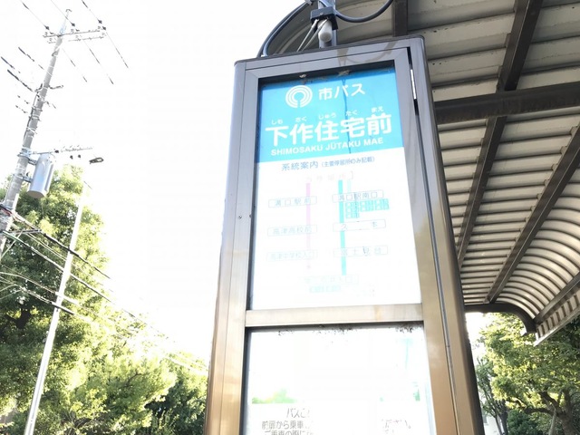 投稿写真1