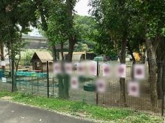 双葉の園保育園