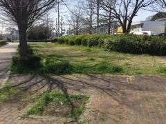 乞田川緑地