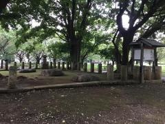 国分寺緑地
