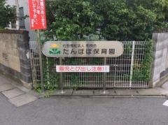 たんぽぽ保育園