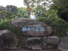 第4号柿田川緑地