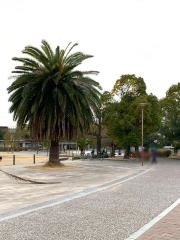 中央公園