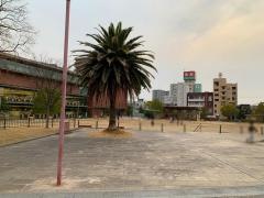 中央公園