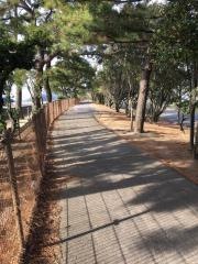 仁尾海岸緑地