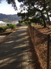 仁尾海岸緑地