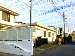 市村動物病院