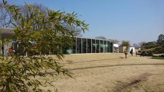 古河総合公園