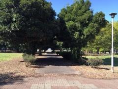 東新町中央公園