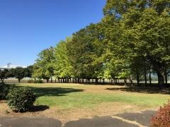 東新町中央公園