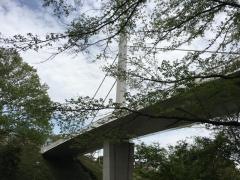 高坂丘陵2号緑地