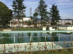 秦野市　カルチャーパーク水泳プール