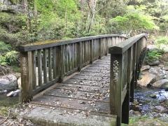 鳴滝森林公園