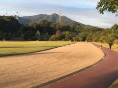 宮園公園