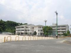 井野小学校